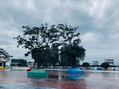 -刘家湾赶海园
