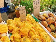 -曼丢傣家古寨