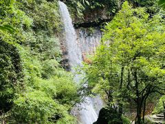 -龙苍沟森林公园