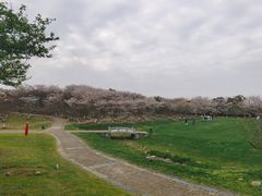 -凤凰沟景区
