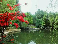 -东莞市可园博物馆