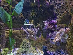 -太平洋海底世界