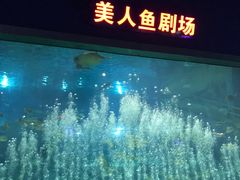 -福州罗源湾海洋世界旅游区