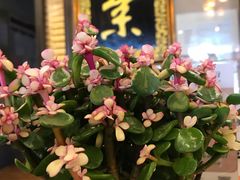 门面-功德林素菜饭庄(前门店)