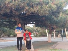 -丁香湖公园