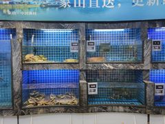 -小舟山海鲜