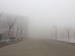 -南开大学滨海学院