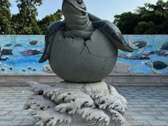 -广东惠东海龟国家级自然保护区