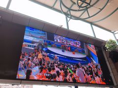 -成都浩海立方海洋公园