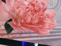 -星巴克臻选(上海合生汇1F店)