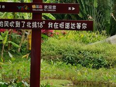 -呀诺达热带雨林