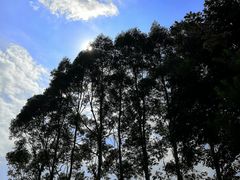 -安溪清水岩