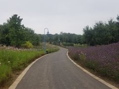 -南京枫彩漫城