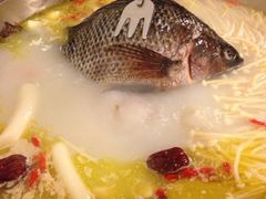 罗非鱼-草墩罗非鱼庄•野生菌•腊排骨(七星街上段店)