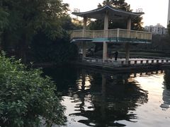 -晓港公园