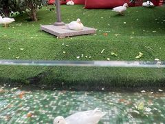 -仲盛世界商城