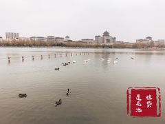 -莲花池公园