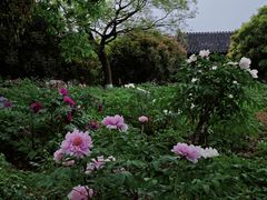 -尚湖风景区