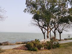 -东钱湖旅游度假区