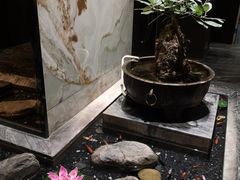-南堂館川菜文化餐厅(天府店)