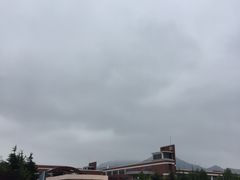 -山东外贸职业学院