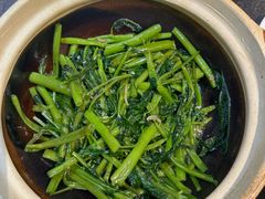 -熠盛粤味·顺德桑拿鸡(永康路店)