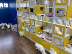 -青石桥花鸟鱼虫市场(叠翠城店)