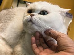 -平行世界·猫咖(首经贸店)