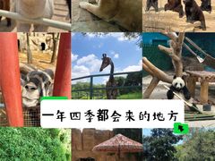 -沈阳森林动物园