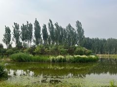 -东郊湿地公园