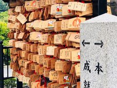 -有栖山 清光院 清水寺