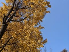 -四川大学(华西校区)