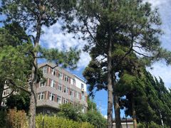-鼓岭旅游度假区