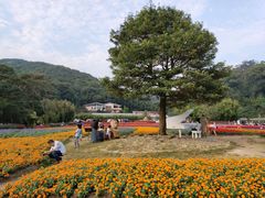 -广州市石门国家森林公园