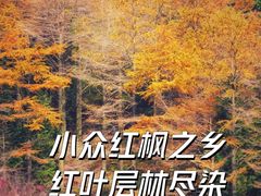 -四明山国家森林公园