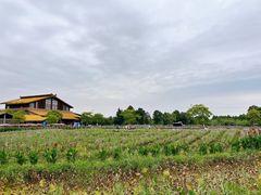 -宁波杭州湾国家湿地公园