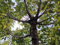 -东方假日田园-停车场