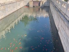 -北京市劳动人民文化宫(太庙)