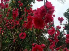 -桃花涧