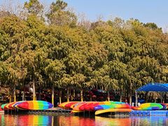 -上海海湾国家森林公园