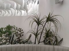 -大树餐厅(大悦城店)