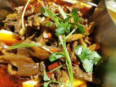 -今日炊牛·潮汕牛肉火锅(华采天地店)