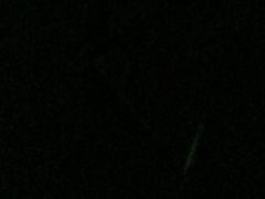 -健眺小海鲜(临海后山店)