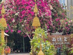 -品德宏·孔雀宴的发源地(金塔园店)