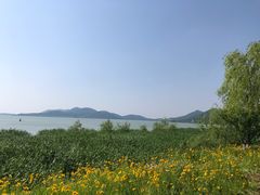 -苏州太湖湖滨国家湿地公园