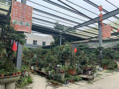-金科花卉市场