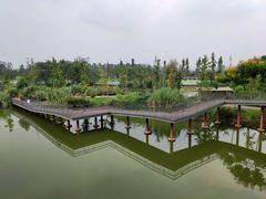 -白鹭湾湿地公园