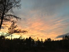 -北极村旅游风景区