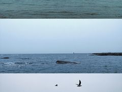 -日照灯塔风景区