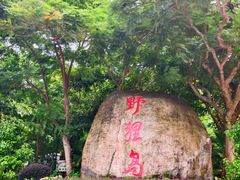 -野狸岛